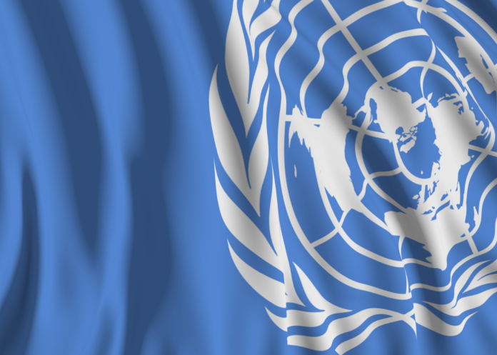 photo du drapeau de l'ONU avec son lot, flottant